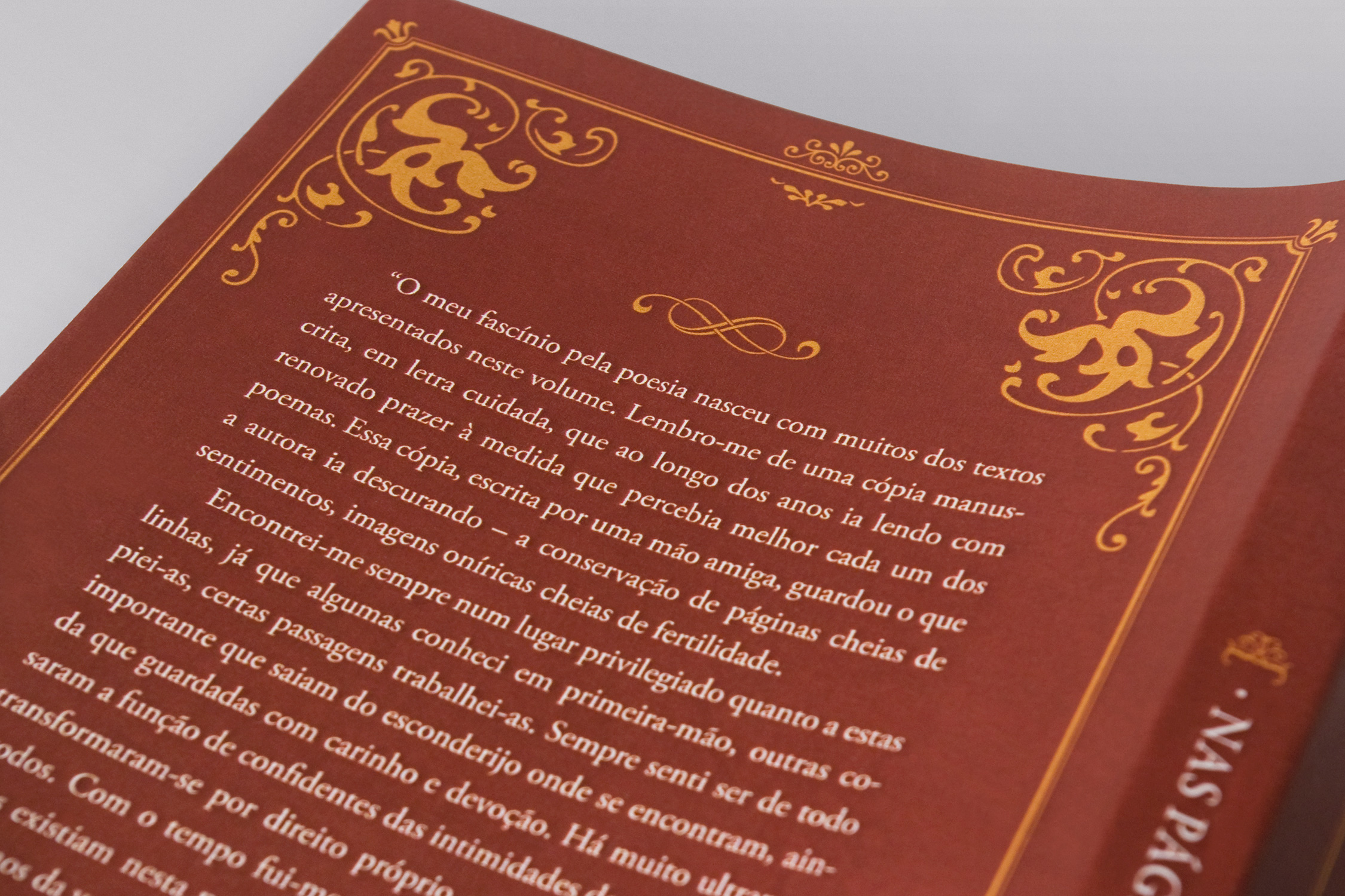 NasPaginas-04
