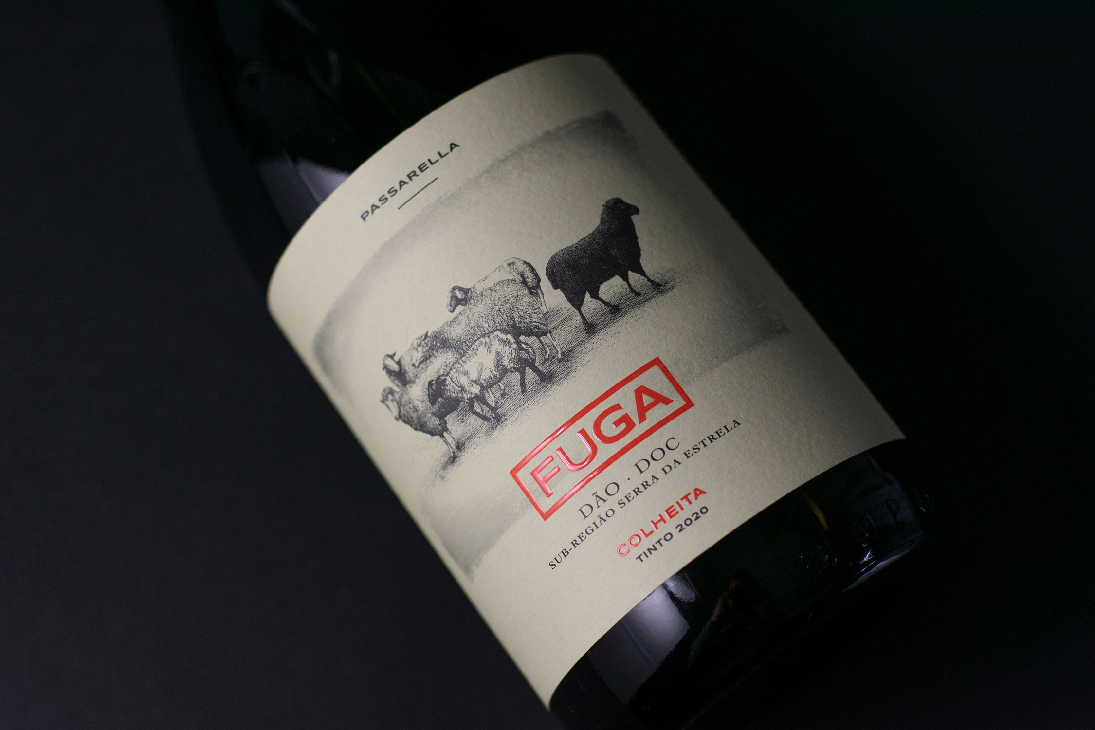 fuga-01