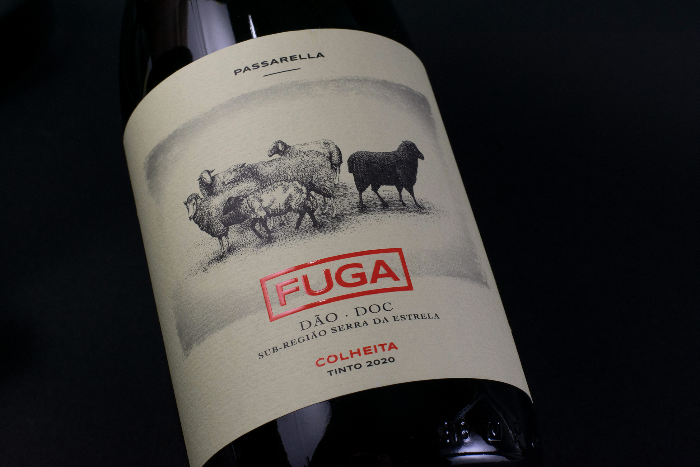 fuga-02