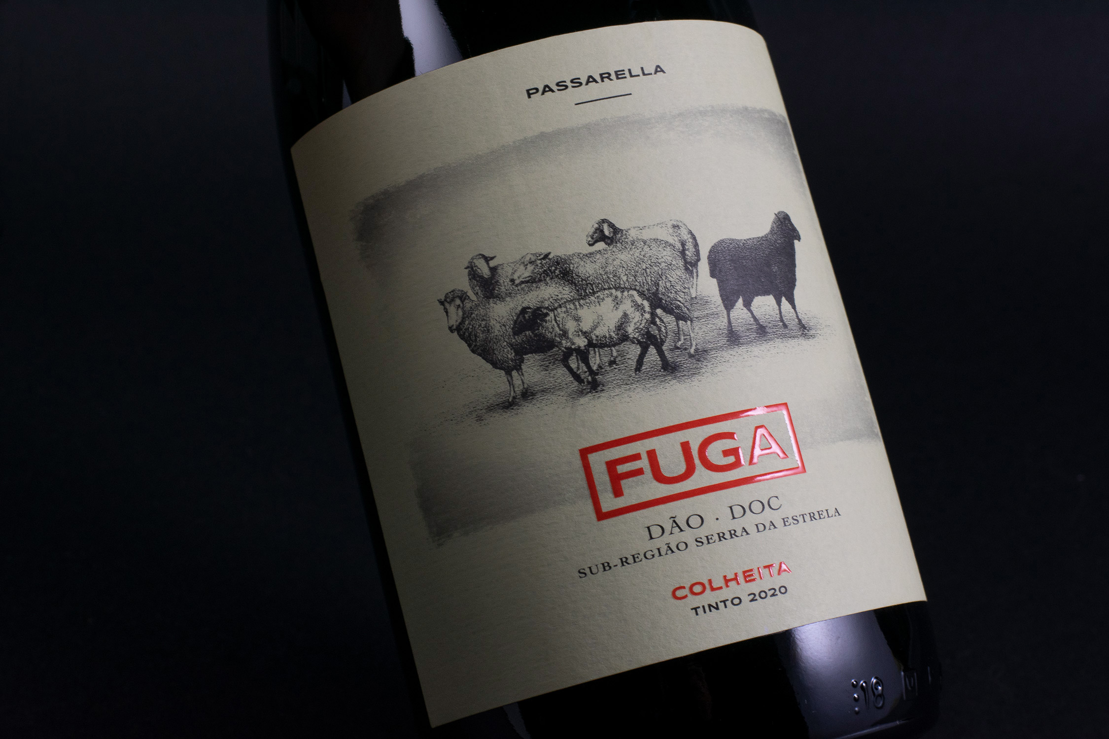 fuga-05