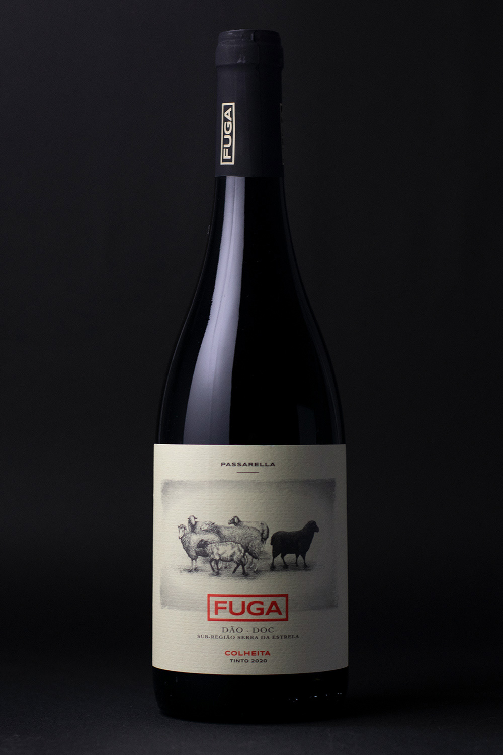 fuga-06